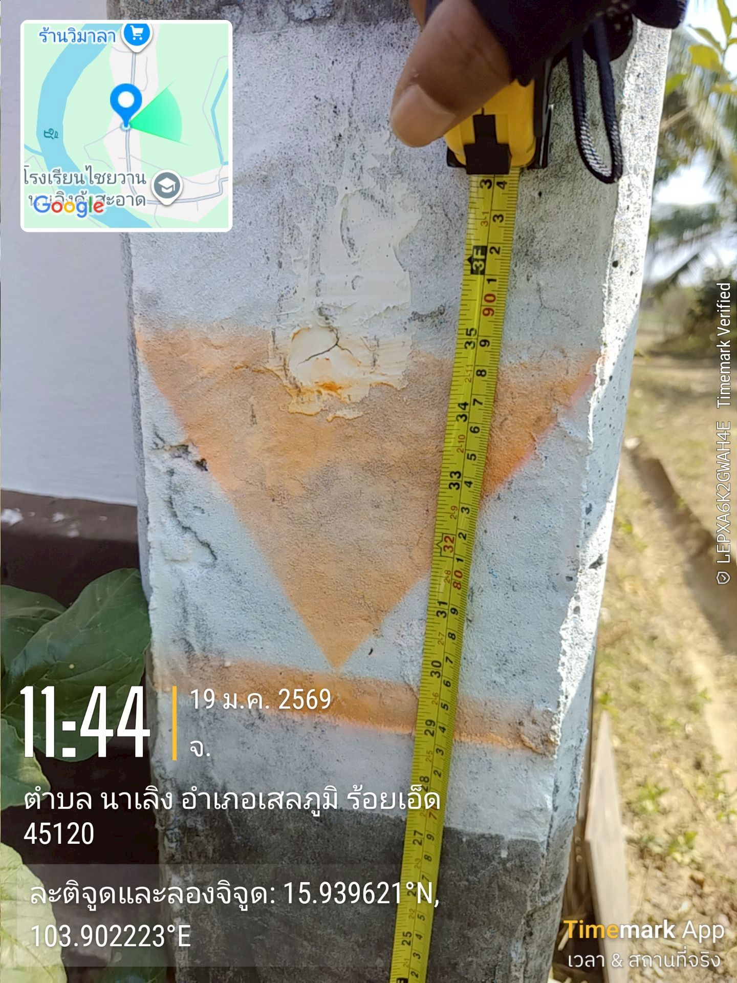 Activity Image