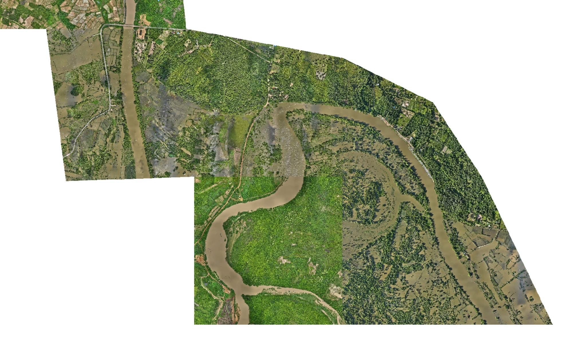Activity Image